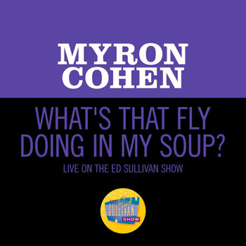 Myron Cohen - What's That Fly Doing In My Soup? (Live On The Ed Sullivan Show, December 11, 1960)