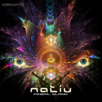 Nativ - Pineal Gland