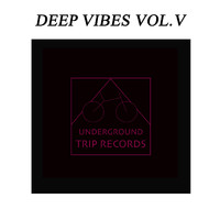 Fernando Olaya - Deep Vibes Vol.V