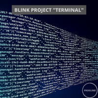 Blink Project - Terminal