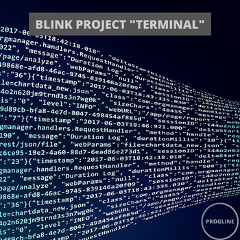 Blink Project - Terminal