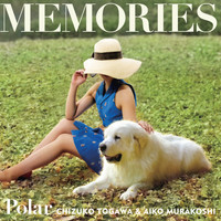 Polar - Memories