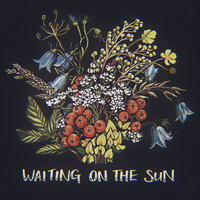Jake Spicer - Waiting on the Sun