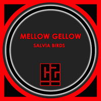 Mellow Gellow - Salvia Birds