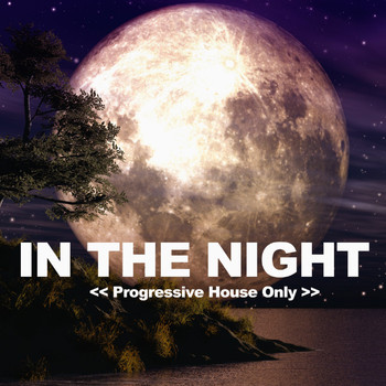 Various Artists - In the Night (Progressive House Only)