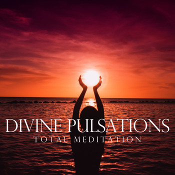 Various Artists - Divine Pulsations (Total Meditation)