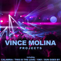 Vince Molina - Projects