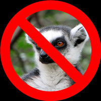 Broad Oak - Not a Lemur