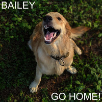 Bailey - Go Home!