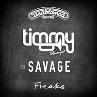 Timmy Trumpet & Savage - Freaks (Radio Edit)