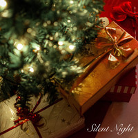 Christmas Classics Remix, Song Christmas Songs, Sounds of Christmas - Silent Night