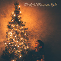 Christmas Hits & Christmas Songs, Christmas Hits Collective, Christmas Music - Wonderful Christmas Night