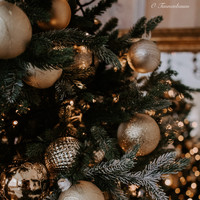 Weihnachten Party, Weihnachts Kinder Chor, Weihnachten - O Tannenbaum