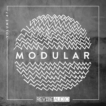 Various Artists - Modular, Vol. 47 (Explicit)
