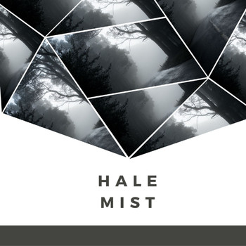 Fossyl Beats - Hale Mist