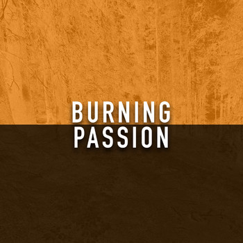 Various Artists - Burning Passion