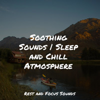 Yoga Music, PowerThoughts Meditation Club, Sound Sleeping - Soothing Sounds | Sleep and Chill Atmosphere