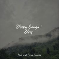 Meditation Music Experience, Deep Sleep Systems, Study Music & Sounds - Sleepy Songs | Sleep