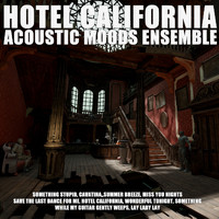 Acoustic Moods Ensemble - Hotel California