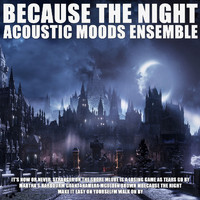 Acoustic Moods Ensemble - Because The Night