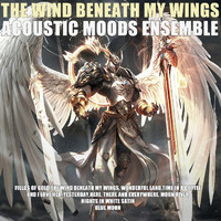 Acoustic Moods Ensemble - The Wind Beneath My Wings