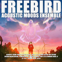 Acoustic Moods Ensemble - Freebird