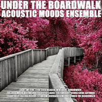 Acoustic Moods Ensemble - Under the Boardwalk