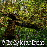 Sleep Baby Sleep - 54 The Key To Your Dreams