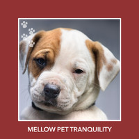 Puppy Relaxation - Mellow Pet Tranquility