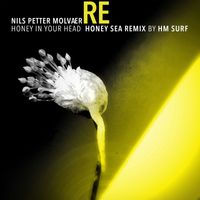 Nils Petter Molvaer - Honey in Your Head (Honey Sea Remix by HM Surf)