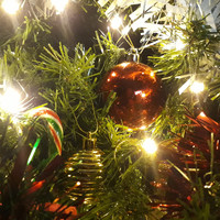 Blowfelt - Christmas
