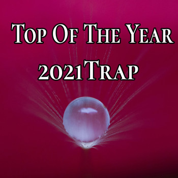 Various Artists - Top Of The Year 2021 Trap
