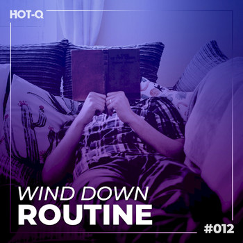 Various Artists - Wind Down Routine 012