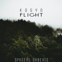 Kogyo - Flight
