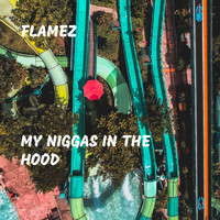 Flamez - My Niggas in the Hood (Explicit)