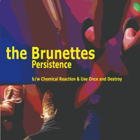 The Brunettes - Persistence