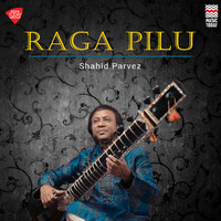 Shahid Parvez - Raga Pilu (Shahid Parvez)