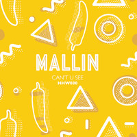 Mallin - Can't U See