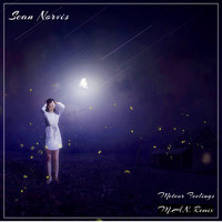 Sean Norvis - Meteor Feelings M.A.N Remix 2021