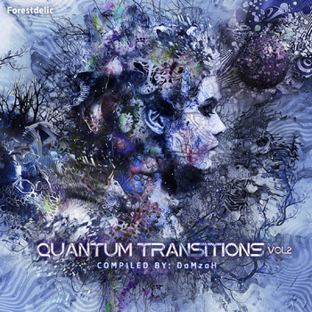 Various Artists - Quantum Transition Vol.2