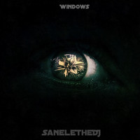 SaneleTheDJ - Windows