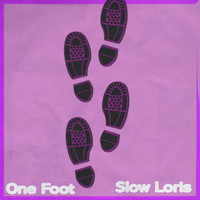 Slow Loris - One Foot