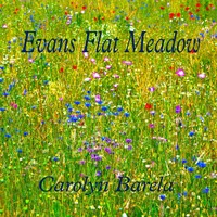 Carolyn Barela - Evans Flat Meadow