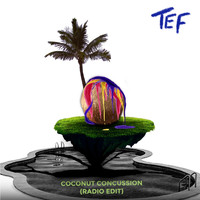 Tef - Coconut Concussion (Radio Edit)