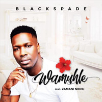 Blackspade - Wamuhle (feat. Zamani Nkosi)
