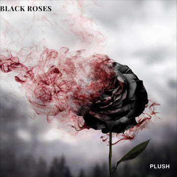 Black Roses - Plush