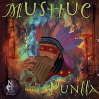 Nayri Cachimuel - Mushuc Punlla