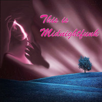 Midnightfunk - This Is Midnightfunk (Explicit)