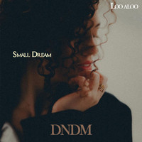 DNDM - Small Dream