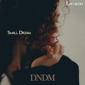 DNDM - Small Dream